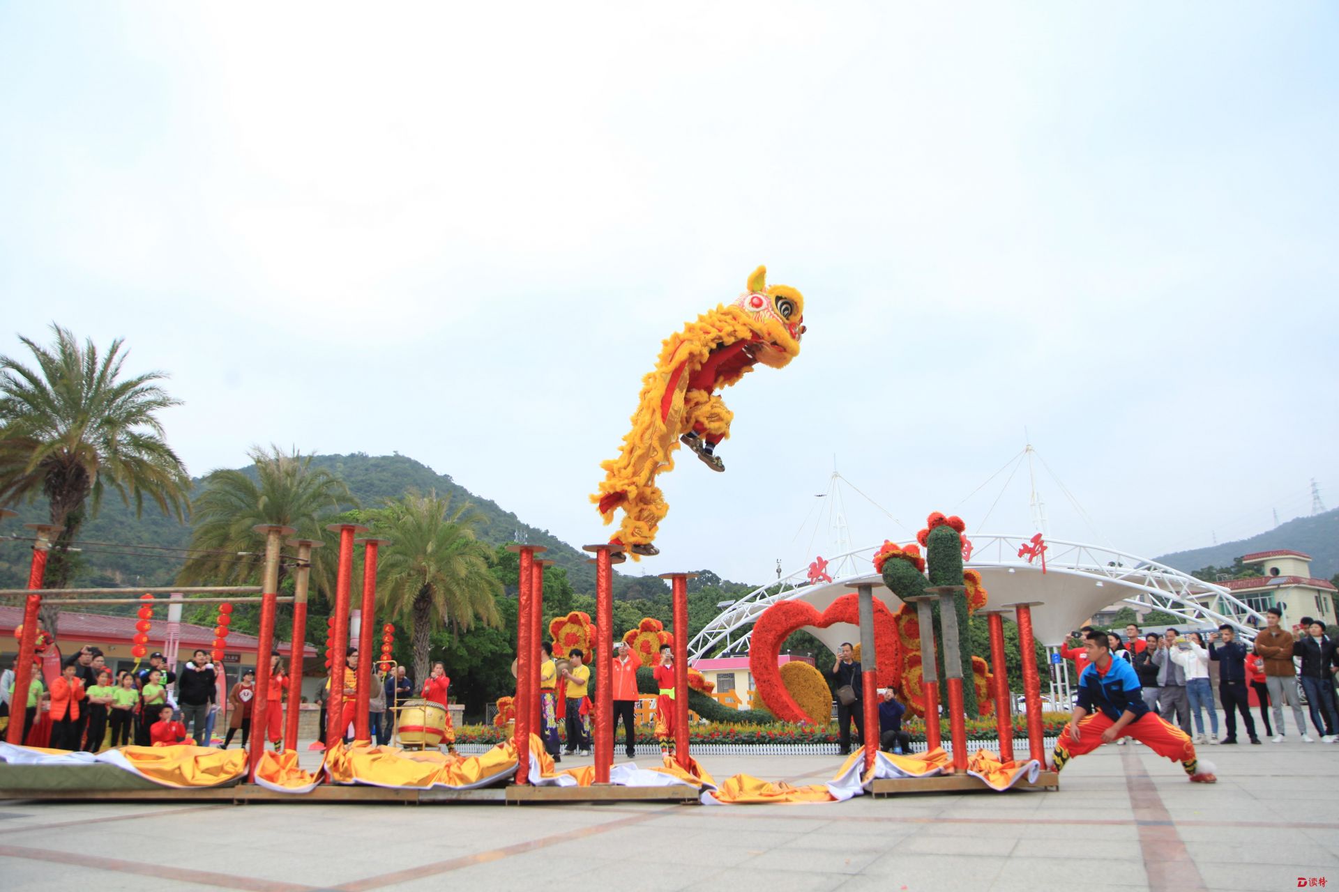 2020年大鹏龙狮节在玫瑰海岸举行  广东省32支龙狮队舞龙醒狮贺新年