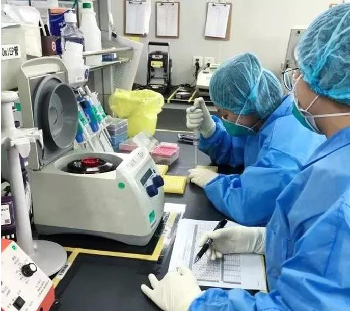华大智造超高通量测序仪T7运抵武汉 华大携手多国开展病原研究