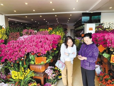 春节家里适合摆什么花？逛花市，送你一份买花指南！