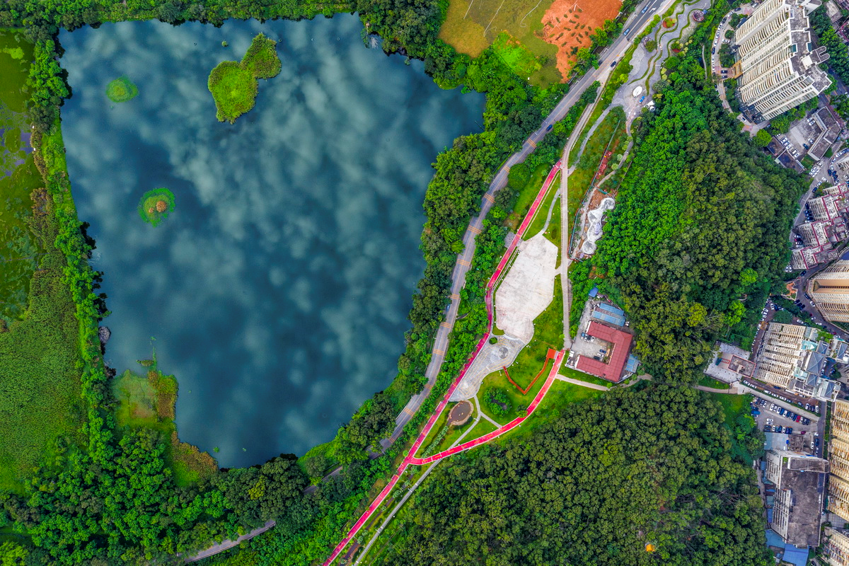 “一路山水一路情”罗湖区第五届绿道摄影大赛获奖作品出炉