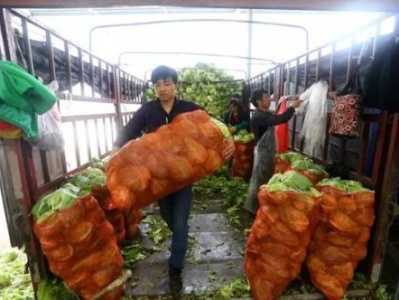 海吉星商家29日全部开业 供应蔬菜3800吨！
