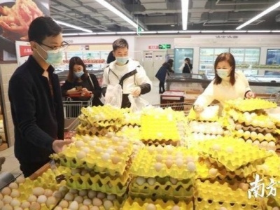 广东粮食蔬菜供应充足 市民无需过度囤货