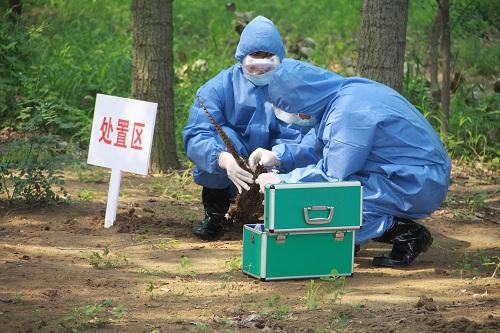 深圳紧急部署对野生动物疫源疫病监测