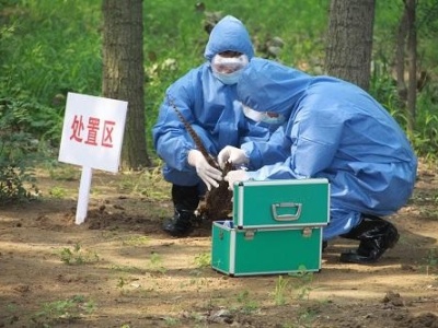 深圳紧急部署对野生动物疫源疫病监测