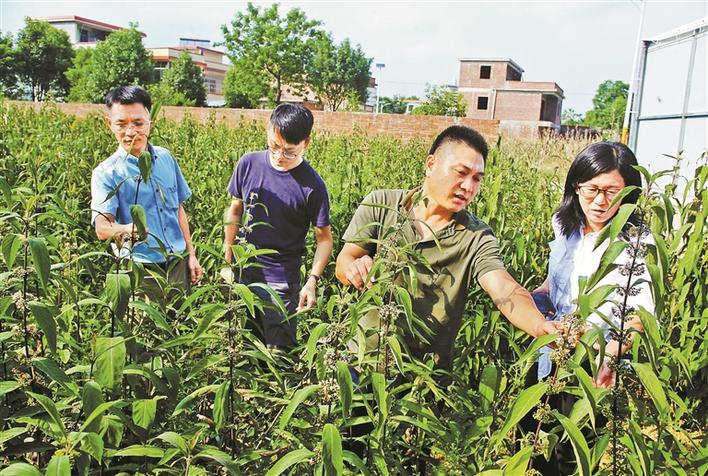 深圳对口帮扶河源第二轮圆满收官！新一轮深河指挥部接过接力棒