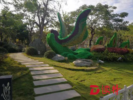 凝心聚力续写凤凰发展新篇章  凤凰街道学习市委六届十三次全会精神  