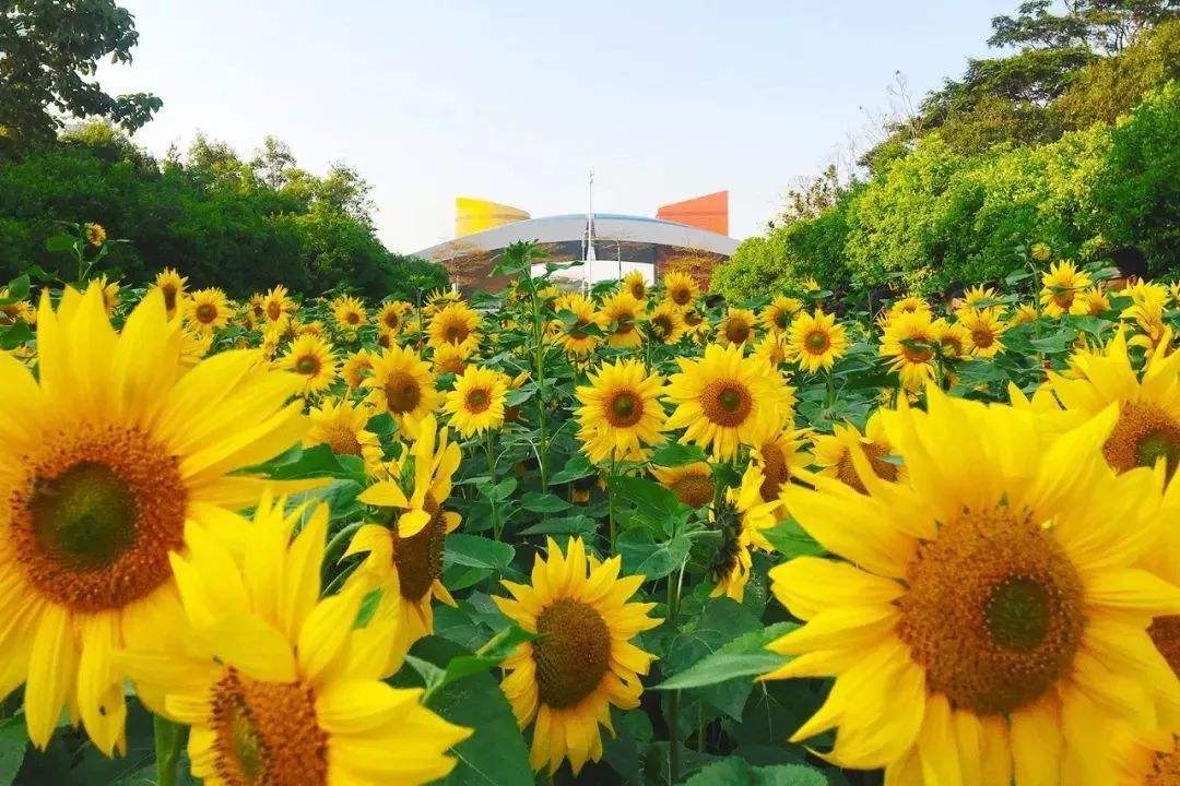 特评：着力建设现代化经济体系 ——四论贯彻落实市委六届十三次全会精神 