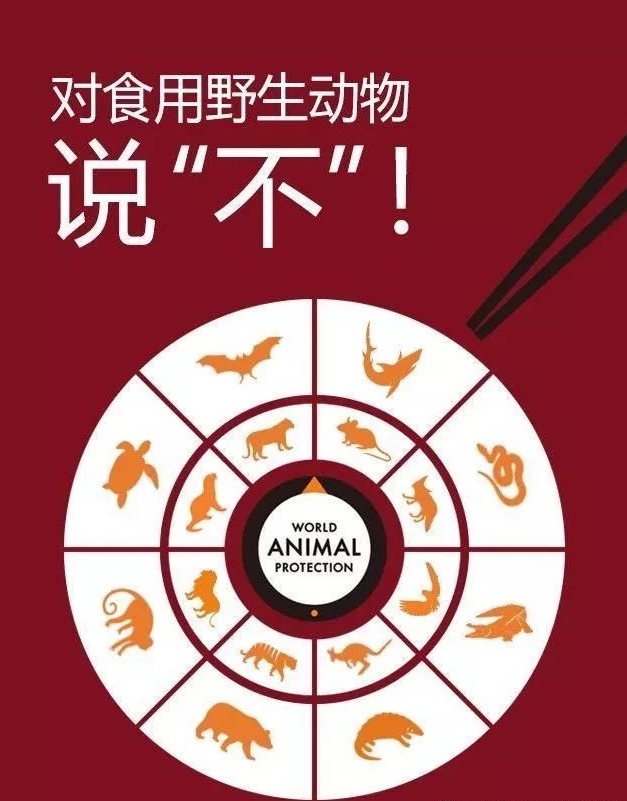 人工饲养的甲鱼也不能吃：深圳最严禁食野生动物条例征求意见