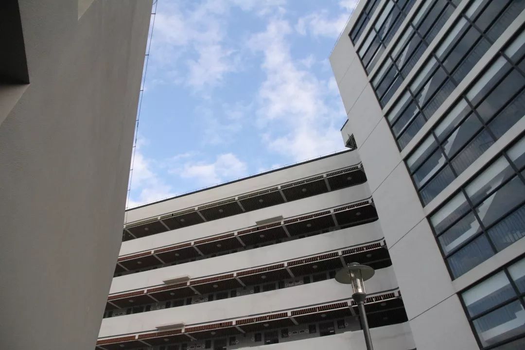 “云”上的城市：疫情下互联网城市“深圳样本” 