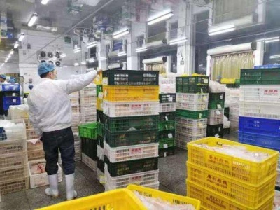 广东省领导调研指导广东农产品“保供稳价安心”平台