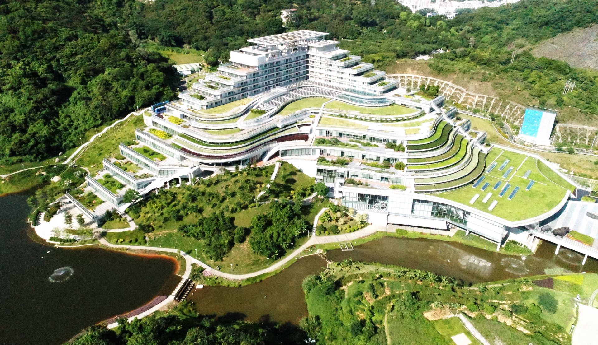 大鹏新区一天完成医学检验实验室审批 华大基因“火眼”将提升深圳疫情检测能力