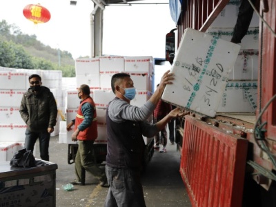 深圳海吉星“大菜篮子”蔬菜日批发量已达5100吨稳如“压舱石”