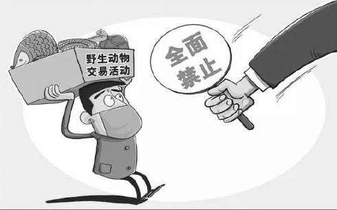 人民日报：用法治革除滥食野生动物陋习
