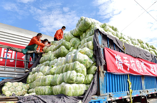 商务部：联保联供协作机制8省已向湖北调运2.7万吨果蔬