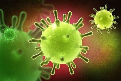 广东省科技厅：腺病毒载体疫苗预计2月28日前开展动物实验