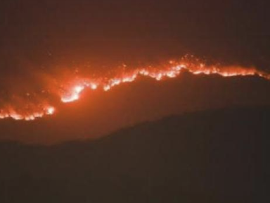 澳总理宣布对林火灾害展开最高级别调查 