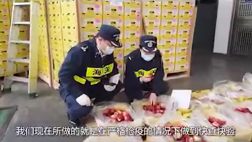 我们会一直守护着你，  直到雾消云散，胜利花开！