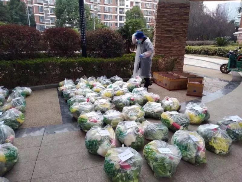 战疫日记㉞｜“还原我身边的武汉”，深圳高中生记录返乡经历