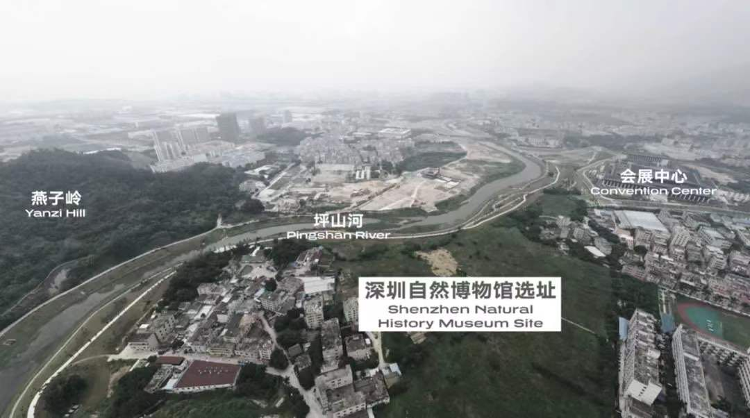 深圳首个自然博物馆要来了！广邀市民提出好建议