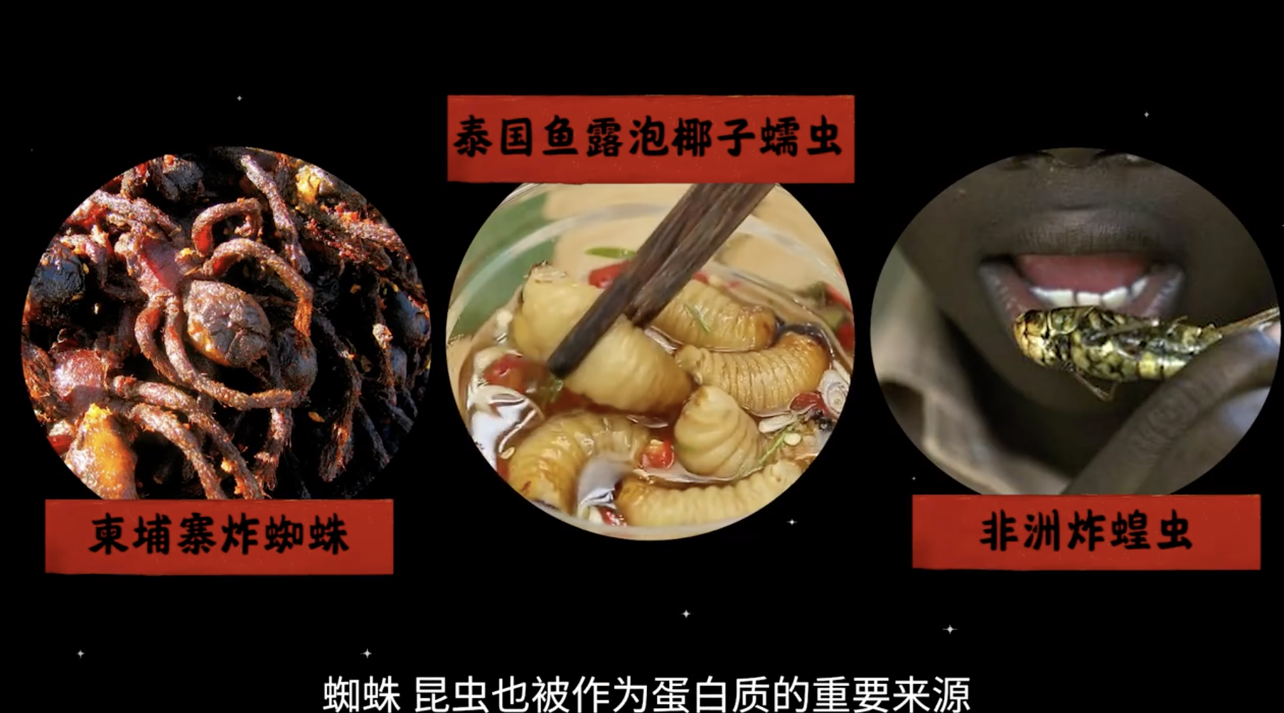 为什么中国人这么爱吃野味？