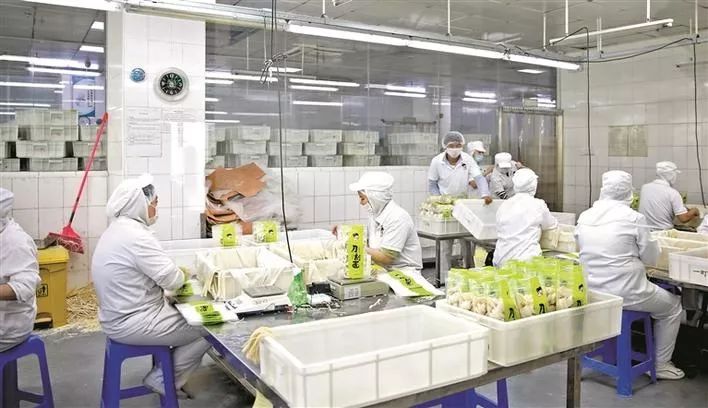 深圳宝安：科学有效防控，平稳有序开工