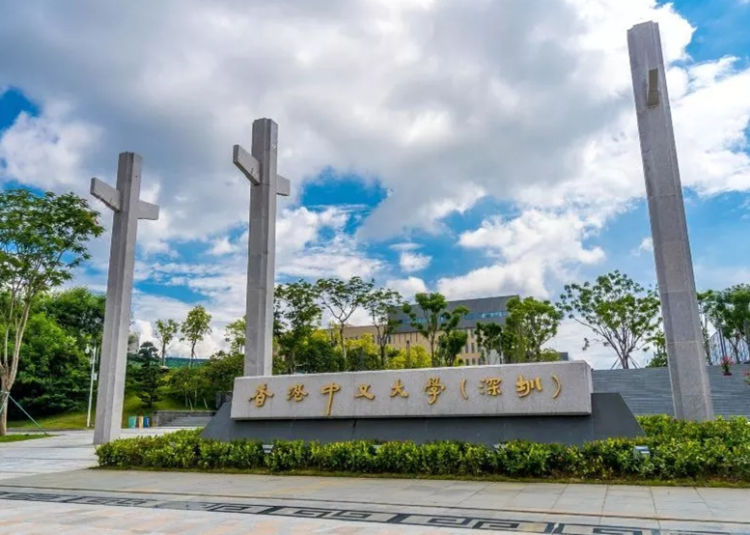 “译”起战疫！港中大（深圳）翻译志愿者用所学参与疫情防控