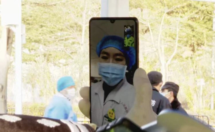 防疫一线“夫妻档”：“亲爱的，我们一起到一线去！”