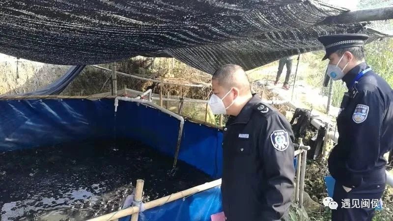 滥食交易野味为何屡禁不止？国家林草局回应