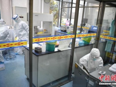 国家药监局：核酸检测试剂安全性、有效性可以保障