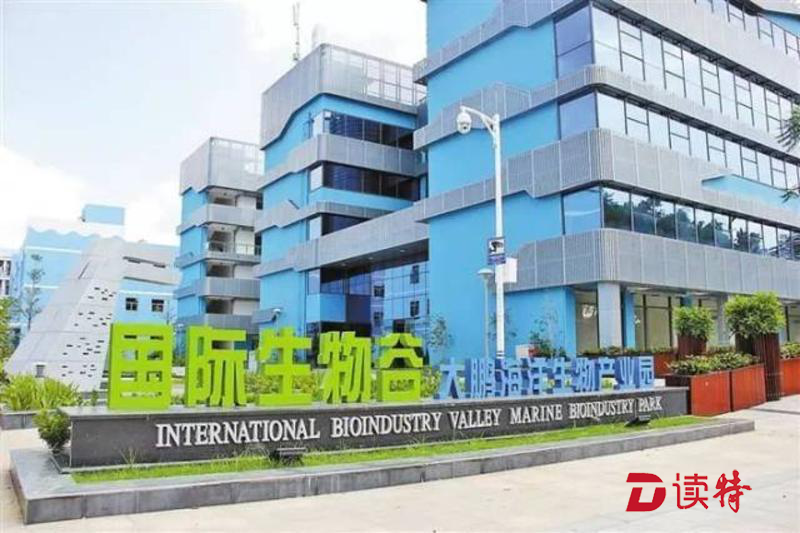 大鹏新区为中小企业减免租金3300万元