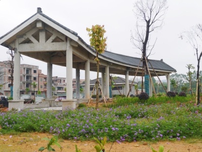 东莞蔡白村今年将新增3个漂亮公园