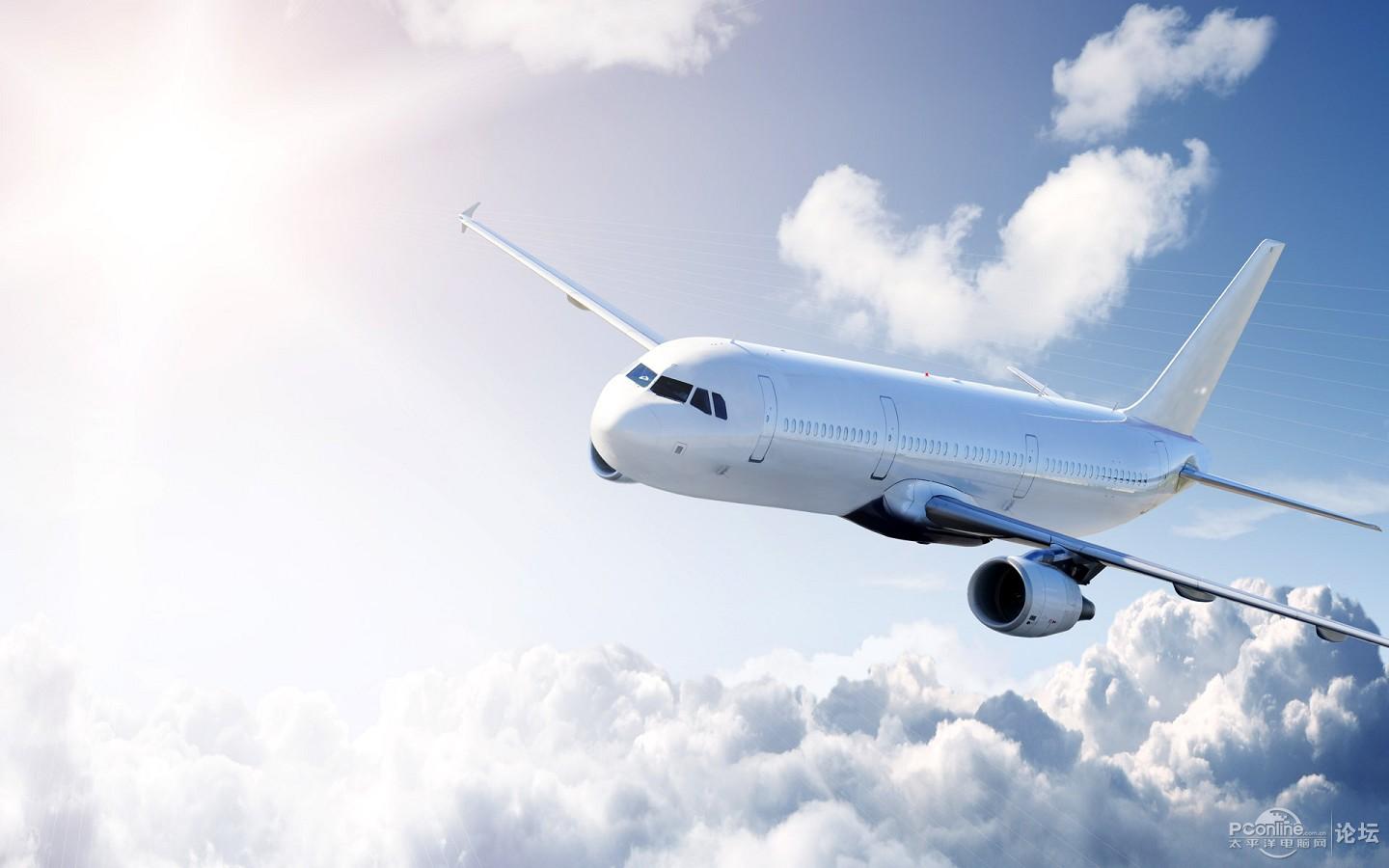 菲律宾航空3月20日取消所有国际航班，国内航班即刻停运
