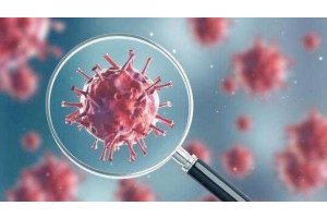 科普：新冠病毒起源于哪里？专家表示目前尚难下结论