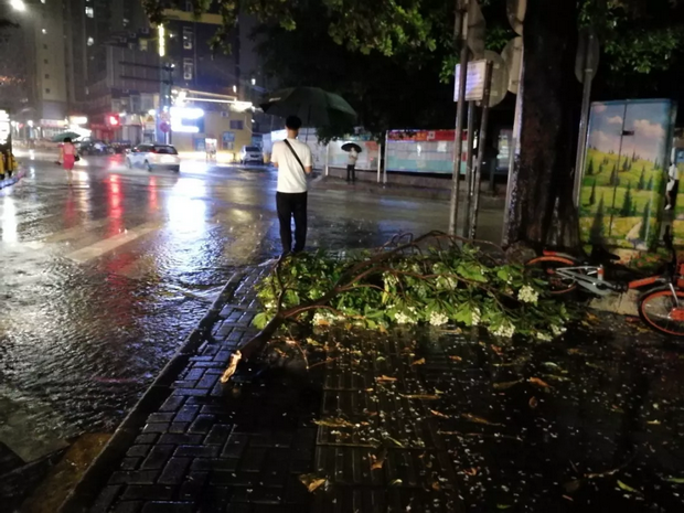此轮强降雨过程基本结束，广东省全省未收到相关灾情报告