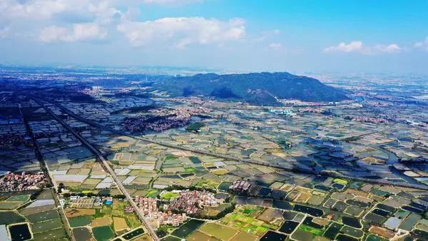 “中国重要农业文化遗产”揭晓 佛山基塘农业系统登榜