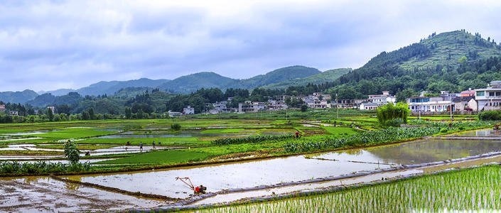 自然资源部：土地改革加速 赋予省级人民政府更大用地自主权