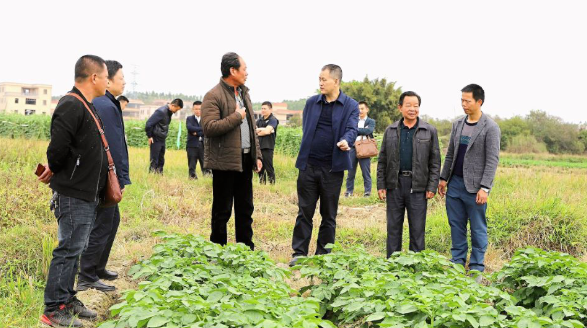跨区域结对子，聚合力助脱贫！深圳精准帮扶小坞村贫困户全部脱贫