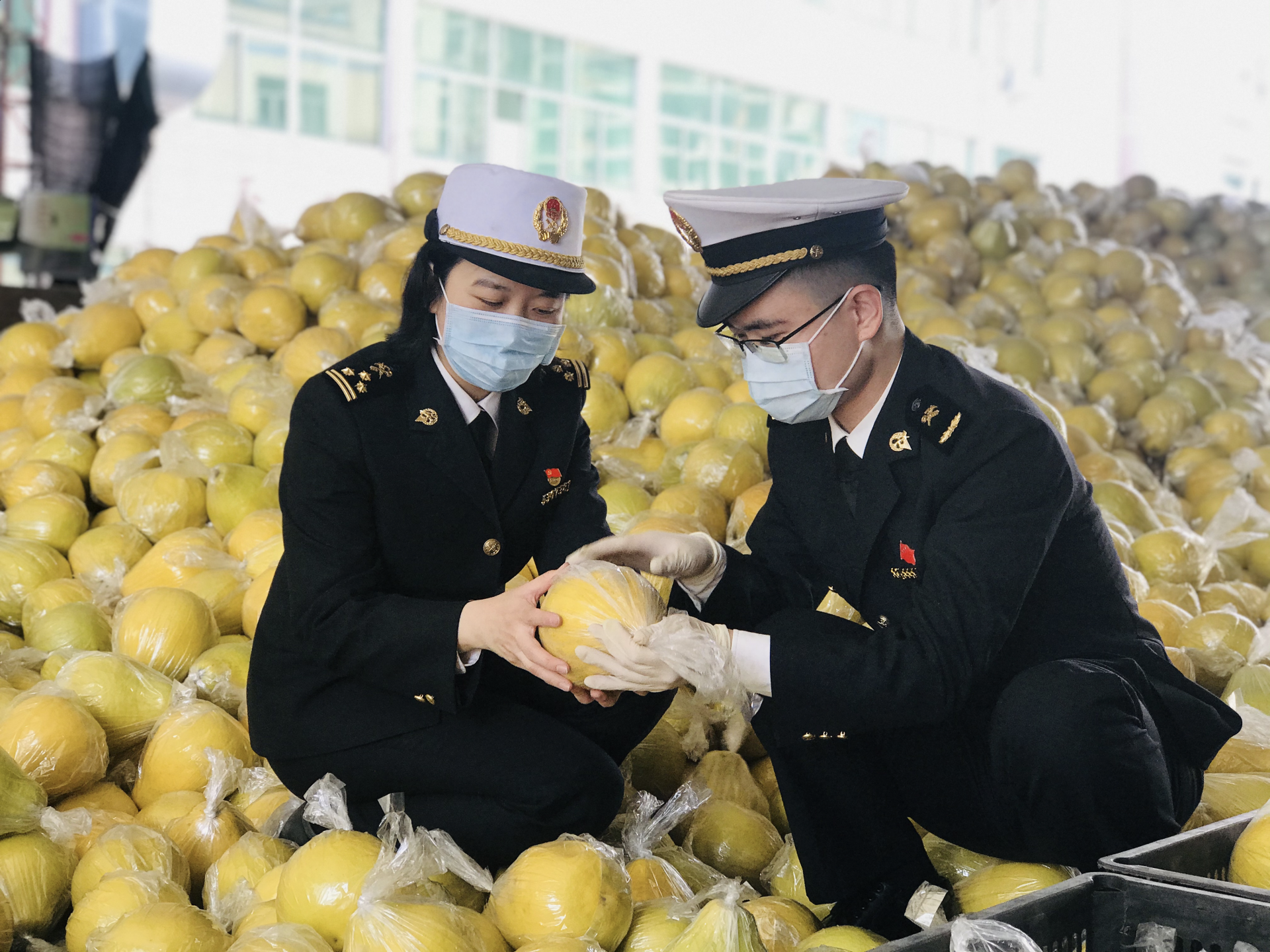 一通电话留住了一个客户 布吉海关全力推动辖区水果出口加速回暖