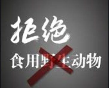 深圳版“禁野令”拟下周提请审议并表决