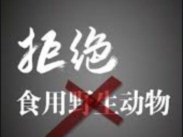 深圳版“禁野令”拟下周提请审议并表决