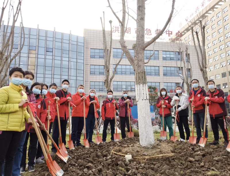 广东驰援湖北荆州洪湖的南方医院医疗队向洪湖市人民医院捐种一株银杏树