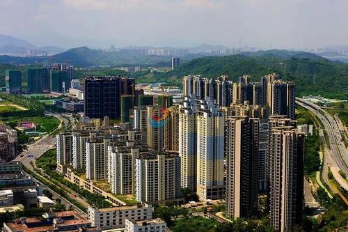 龙岗多项创新举措助力采购效率效益“双提升”