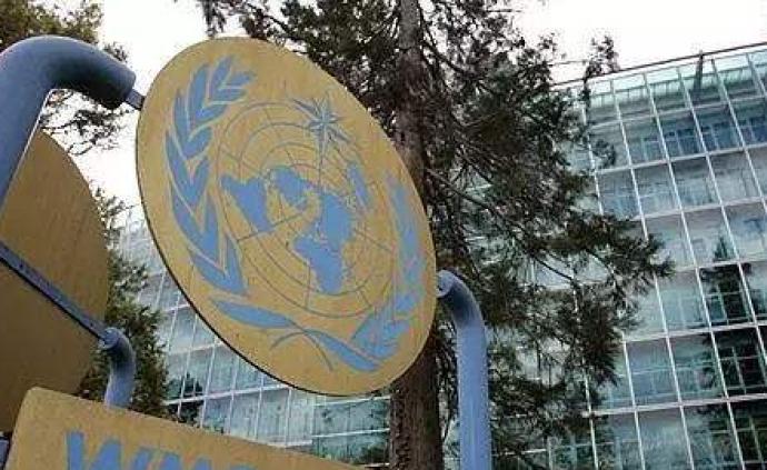 世界气象组织：全球变暖势头不变，未来5年可能再破纪录
