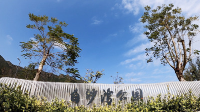 视频 | 春临坝光——全市18个重点区域之一深圳国际生物谷坝光核心启动区已复工复产