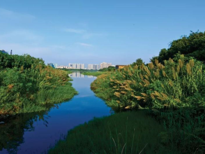 深圳奇妙“自然之旅”开启示范，广东将建全国自然教育示范省