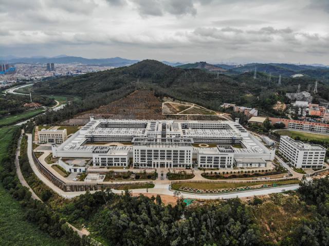 本周六龙岗警方为全区医务人员和重点疫情地返深居民开设户政业务专场