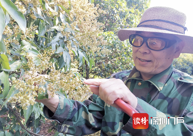 2020年中国荔枝产业大会在茂名高州召开：加快推进广东荔枝产业转型升级实现高质量发展