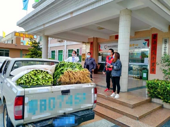 蔬菜滞销怎么办？平湖爱心企业来帮忙