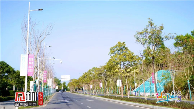 大鹏新区大鹿线2号绿道颜值升级上线，完美姿态迎春天！