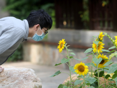 深圳仙湖植物园开园迎客 市民有序游园赏春